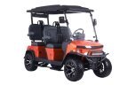 Thumbnail Photo 3 for 2025 Denago Rover XL