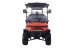 Thumbnail Photo 2 for 2025 Denago Rover XL