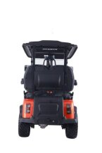 Thumbnail Photo 6 for 2025 Denago Rover XL