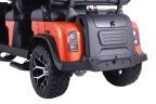 Thumbnail Photo 2 for 2025 Denago Rover XL