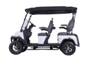 2025 Denago Rover XL