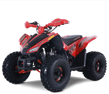 Photo 1 for New 2025 Denago Trailhawk