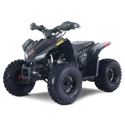 Photo 1 for New 2025 Denago Trailhawk