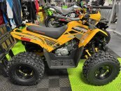 New 2025 Denago Trailhawk