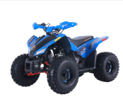 New 2025 Denago Trailhawk