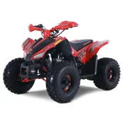 New 2025 Denago Trailhawk