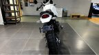 Thumbnail Photo 6 for New 2025 Ducati DesertX