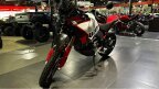 Thumbnail Photo 3 for New 2025 Ducati DesertX