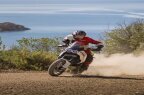 Thumbnail Photo 3 for New 2025 Ducati DesertX