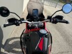 Thumbnail Photo 5 for New 2025 Ducati DesertX