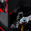 Thumbnail Photo 6 for New 2025 Ducati Panigale V2