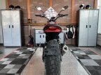 Thumbnail Photo 6 for New 2025 Ducati Scrambler