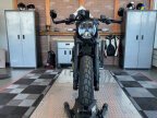 Thumbnail Photo 2 for New 2025 Ducati Scrambler Nightshift