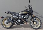 Thumbnail Photo 1 for New 2025 Ducati Scrambler