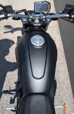 Thumbnail Photo 6 for New 2025 Ducati Scrambler