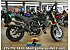 New 2025 Ducati Scrambler 1100 Pro