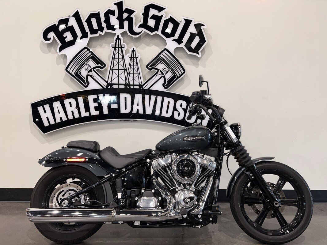 2025 Harley-Davidson Softail Street Bob