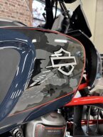 Thumbnail Photo 2 for New 2025 Harley-Davidson CVO Pan America