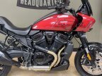 Thumbnail Photo 2 for New 2025 Harley-Davidson Pan America ST