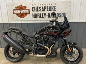 New 2025 Harley-Davidson Pan America ST