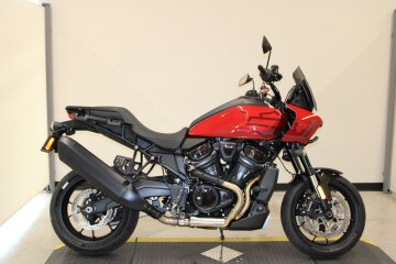 New 2025 Harley-Davidson Pan America ST
