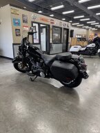 Thumbnail Photo 3 for New 2025 Harley-Davidson Softail