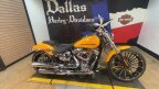 Thumbnail Photo 5 for 2025 Harley-Davidson Softail Breakout