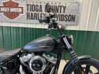 Thumbnail Photo 2 for New 2025 Harley-Davidson Softail Street Bob