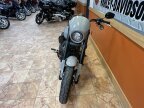 Thumbnail Photo 2 for New 2025 Harley-Davidson Softail Low Rider S
