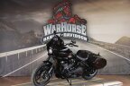 Thumbnail Photo 5 for New 2025 Harley-Davidson Softail Low Rider ST