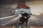 Thumbnail Photo 6 for New 2025 Harley-Davidson Softail Low Rider ST