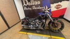 Thumbnail Photo 3 for 2025 Harley-Davidson Softail Breakout