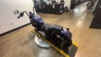 Thumbnail Photo 1 for 2025 Harley-Davidson Softail Street Bob