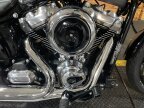 Thumbnail Photo 1 for 2025 Harley-Davidson Softail Street Bob