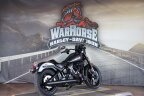 Thumbnail Photo 1 for New 2025 Harley-Davidson Softail Low Rider S