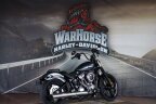 Thumbnail Photo 1 for New 2025 Harley-Davidson Softail Street Bob