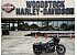 2025 Harley-Davidson Softail Low Rider S