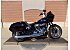New 2025 Harley-Davidson Softail