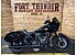 2025 Harley-Davidson Softail Low Rider ST