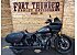 2025 Harley-Davidson Softail Low Rider ST