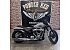2025 Harley-Davidson Softail Street Bob