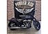 2025 Harley-Davidson Softail Street Bob