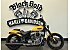 2025 Harley-Davidson Softail Street Bob