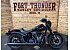 2025 Harley-Davidson Softail Low Rider S