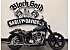 2025 Harley-Davidson Softail Street Bob