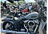 2025 Harley-Davidson Softail Street Bob