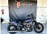 2025 Harley-Davidson Softail Street Bob