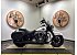 2025 Harley-Davidson Softail