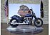 2025 Harley-Davidson Softail