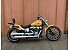 2025 Harley-Davidson Softail Breakout